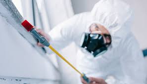 Emergency Pest Control in West Freehold, NJ